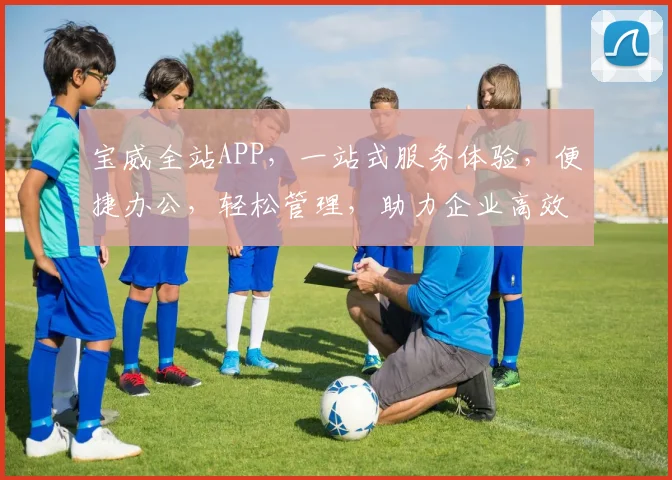 宝威全站APP，一站式服务体验，便捷办公，轻松管理，助力企业高效发展，必看攻略，不容错过