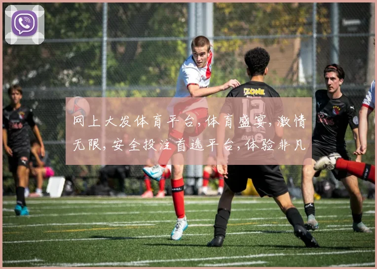 网上大发体育平台,体育盛宴,激情无限,安全投注首选平台,体验非凡